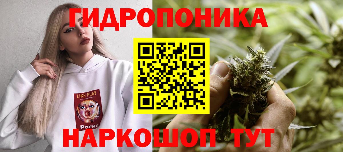 Бошки марихуана семена  Каннабис VHQ  Полысаево  Каннабис Bruce Banner  Вход с VPN 